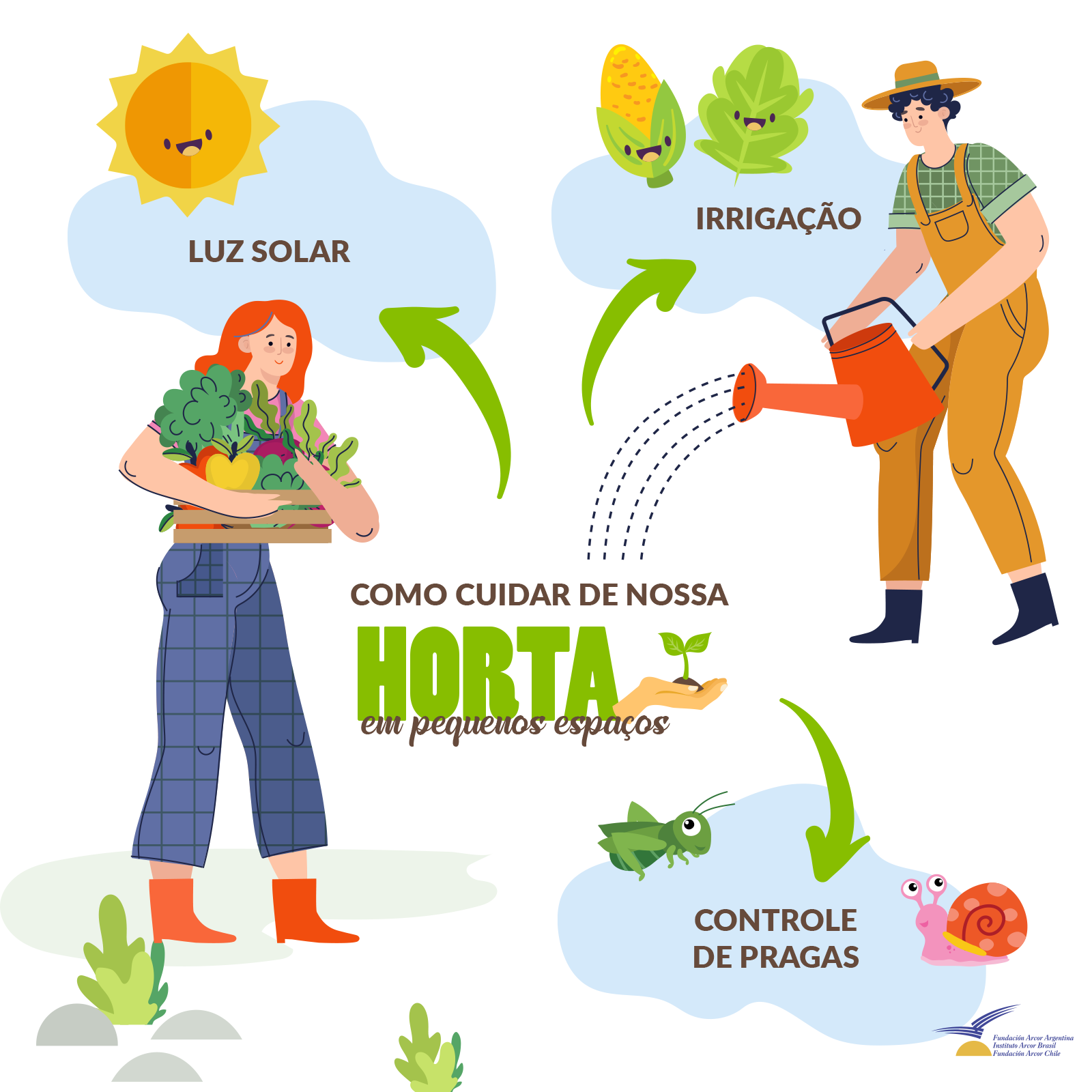 Como cuidar de nossa Horta em pequenos espaços