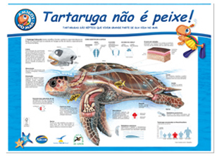 Cartaz A3 – Tartaruga não é peixe!