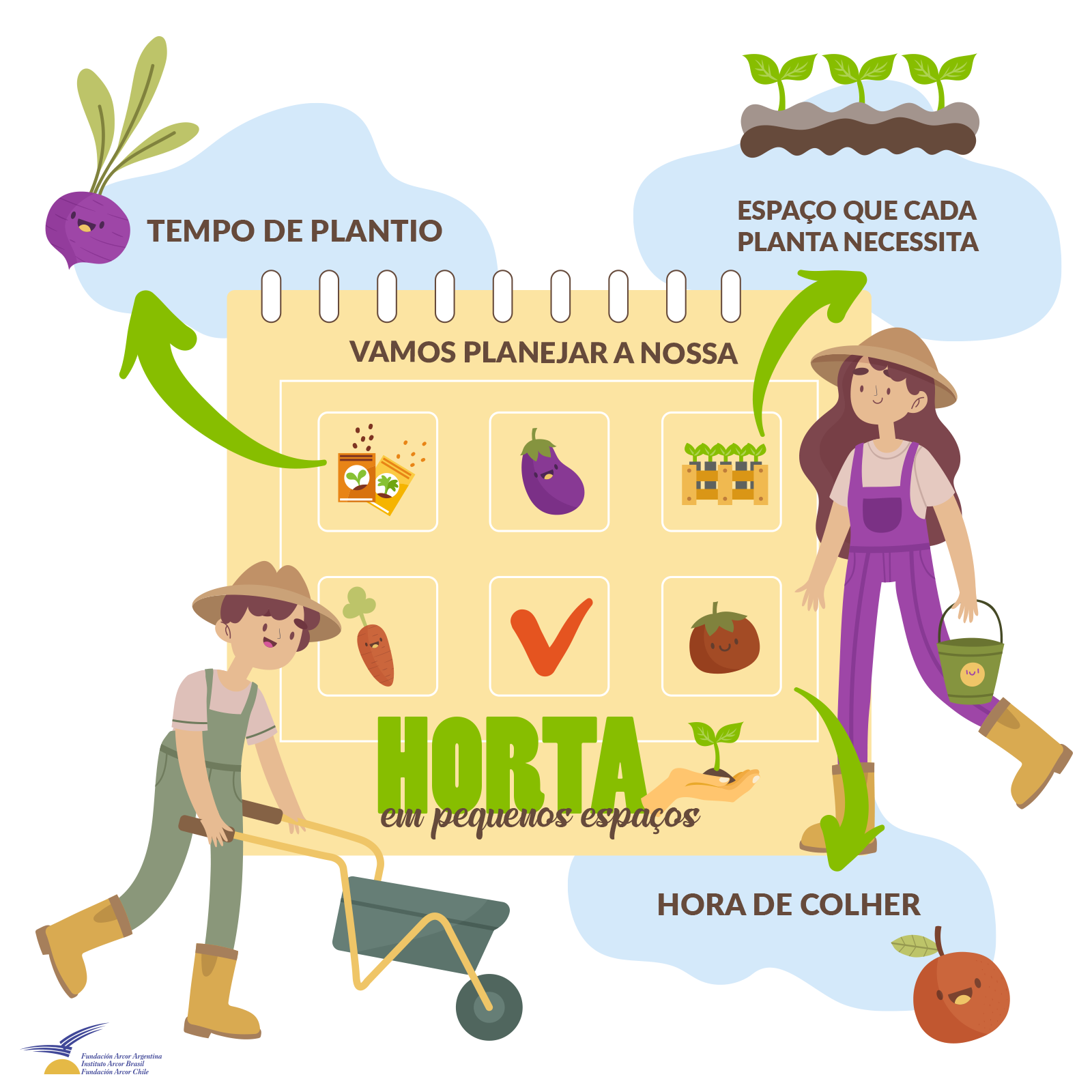 3 dicas para uma horta produtiva